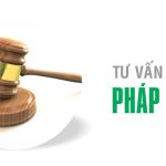 tu-van-quan-ly-cho-doanh-nghiep