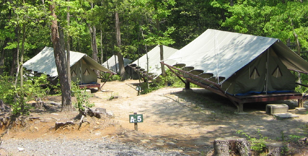 SỰ KIỆN CẮM TRẠI NĂM 2024